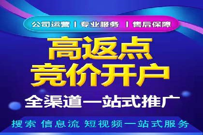 竞价广告的智能投放：XX平台的创新实践